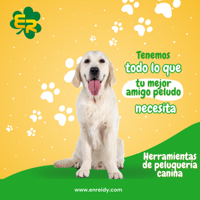 Herramientas de peluquería canina: Precisión y cuidado para el estilismo profesional