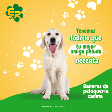 Bañeras de peluquería canina: Ergonomía y eficiencia para su estética de mascotas
