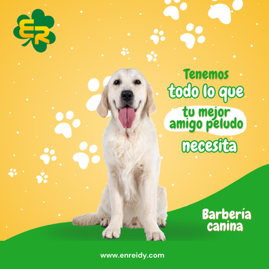 Barbería canina: Innovación y excelencia en el cuidado estético de sus mascotas