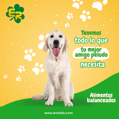 Alimentos balanceados. Optimice el rendimiento de su equipamiento