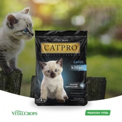 Catpro Kitten 1kg -