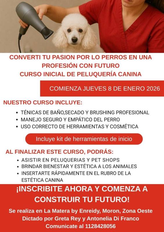 Curso Inicial En Peluquería Canina